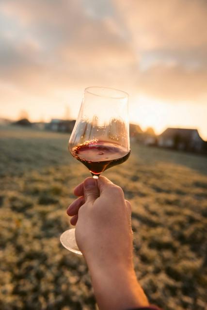 L'édition 2024 du Salon du Vin