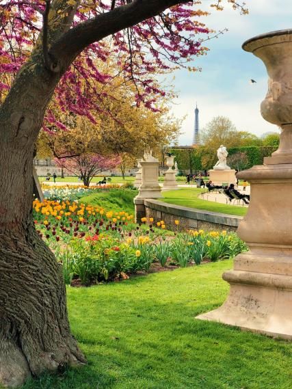 The best Paris gardens for this summer !