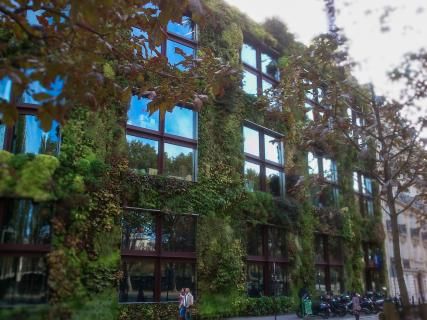This summer, discover Quai Branly with your family