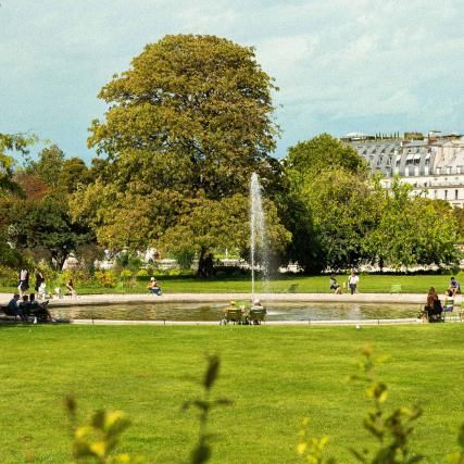Summer Activities at the Tuileries Garden