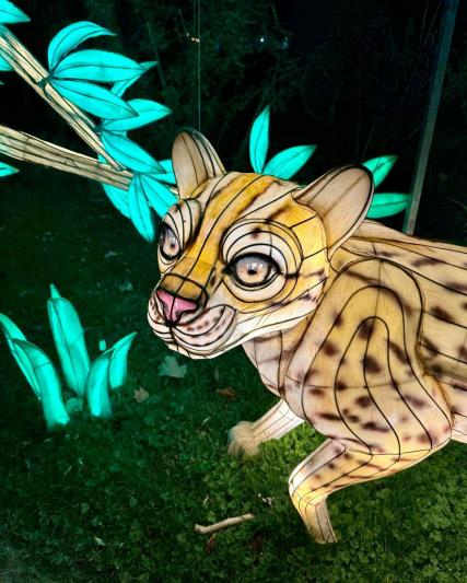 Jungle in the Process of Illumination at the Jardin des Plantes