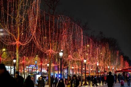 Les sculptures de Richard Orlinski aux Champs Élysées