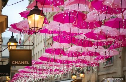 Les Parapluies roses de Paris