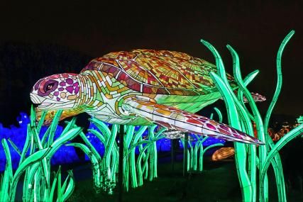 L'ÉVOLUTION EN VOIE D'ILLUMINATION AU JARDIN DES PLANTES