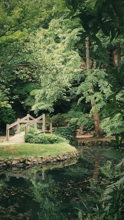 The Jardin d’Acclimatation: a Summer Nature Escape in Paris