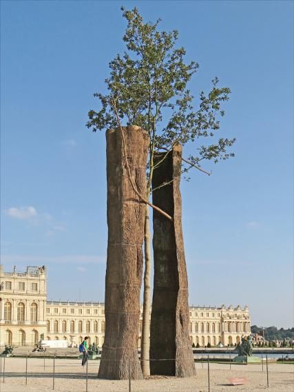 Arte Povera exhibition at the Bourse de Commerce