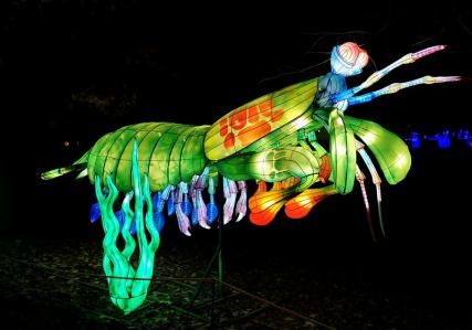 Mini-mondes en voie d'illumination au Jardin des Plantes